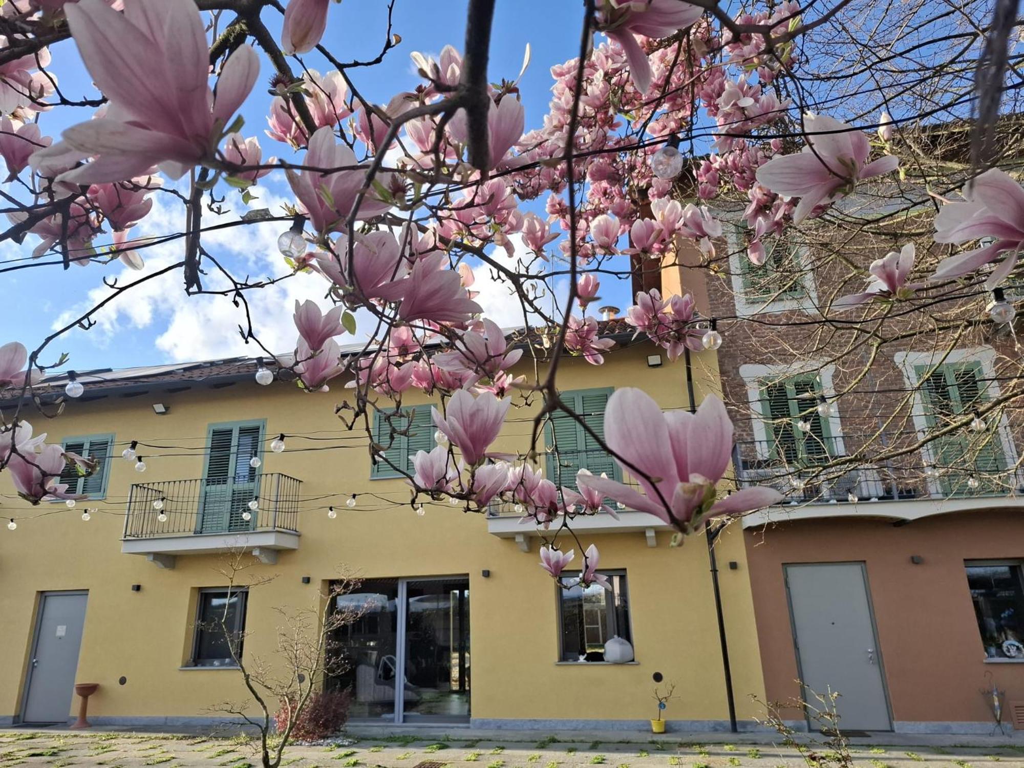 Villa Albina La Loggia ภายนอก รูปภาพ