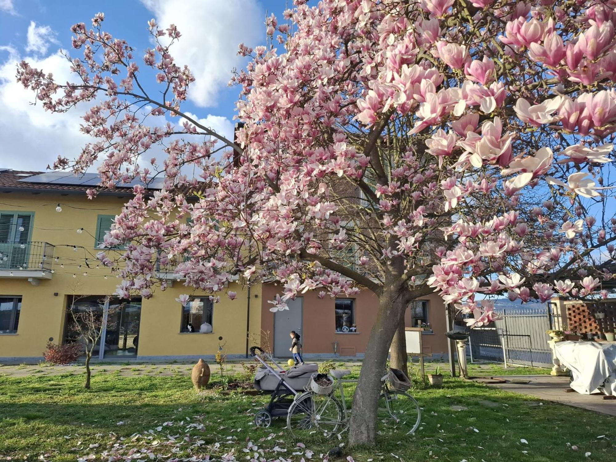 Villa Albina La Loggia ภายนอก รูปภาพ